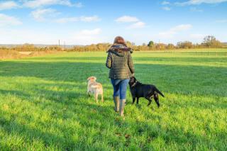 2 Bed in Duddlestone oc-q34588 - 7