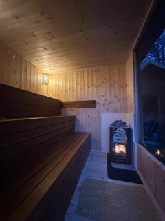 Heart of the Forest Penthouse - Ghipeş - 1