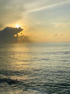 Chanika New Guest House - 8