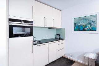 Titlis Studio Engelberg with Balcony great View - 7