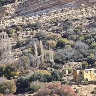 Dana horizon hotel - 8