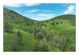 Fortune Retreats - 6