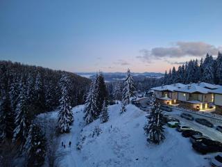 Apartment Viki Pamporovo - 0