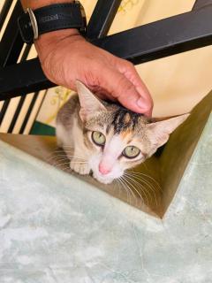 Nature Paradise Guesthouse - 6