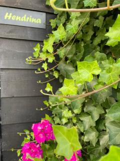 Gastenhuisje De Donk - 6