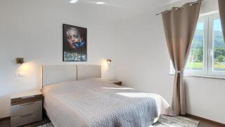 Beautiful Villa Rhapsody with pool in Buzet - 6