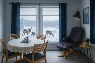 Suovka reindeer lodge - 4