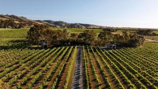 Seabrook Vineyard Retreat - 9