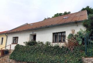 Jamajka na Vinohradské - 0