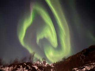 Lofoten Auroradome - 9