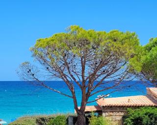 Dormir en Corse du Sud T3 4 pers Vue Mer, Plage à pied - 0