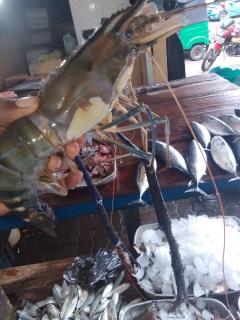 Iyra Homes - Hikkaduwa - 3