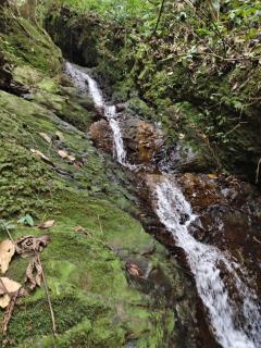Chiraco cabins native jungle - 3