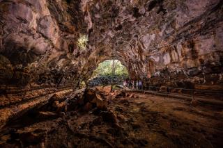 Discovery Resorts - Undara - 3