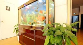 7 Days Inn Nanjing Jiangning University Town - 6