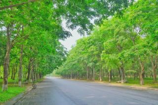 Luxury Apartment 1N1WC at Landmark Onsen Ecopark - 9