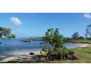 Deluxe Beachfront Apartment - 7