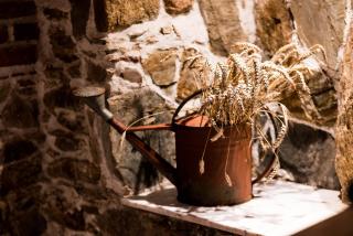 Marmurowa Winnica - 2