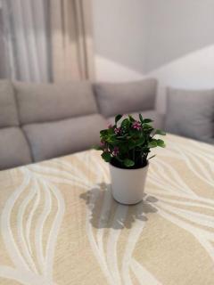 Alojamiento Baeza- El Limonero A - 9