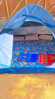 Shanthi Dhama Resort, Hampi - 8