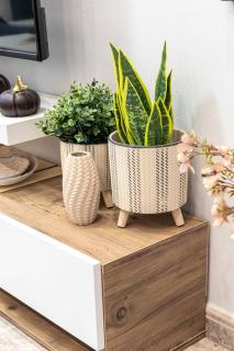 ArtHaus Gallery Stay - 4