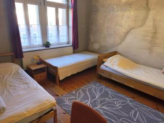 Grosses Privatzimmer mit Altbau-Charme - 4