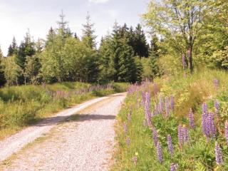 Pension & FeWo's Talblick - 4