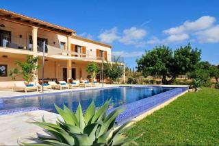 YourHouse Albercoquer - 0