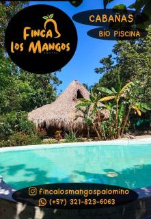 Finca Los Mangos - 8
