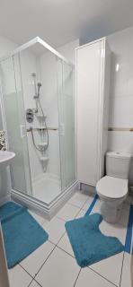 3 Bed Bedroom Apartment near Dundrum-Sandyford - 9