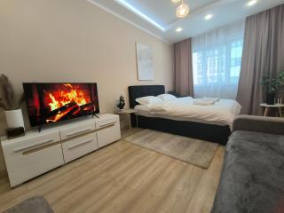 Затишна квартира у центрі Львова - 0