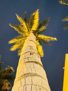 99 Living Family Guesthouse - 9