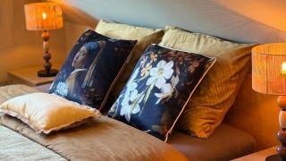 Tulipa - Keukenkof - 0