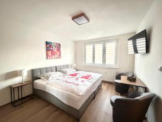 Apartmánový byt Nad řekou - Kadaň - 5