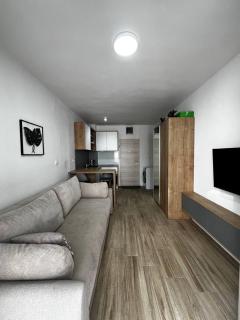 Apartment Montenegro Becici - 2