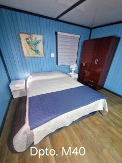 Wildepartamentos Valdivia TM - 1