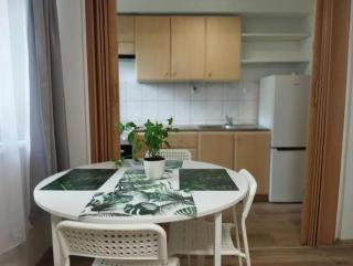 2-room, garden, close to the center - 3