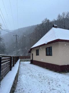 Mountain Cabin with a hot tub with jacuzzi jets - 8