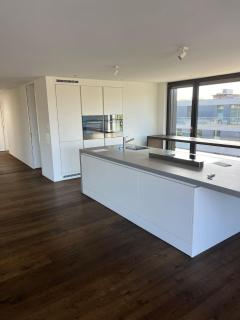 Penthouse mit Whirlpool & Riesenterrasse - 1