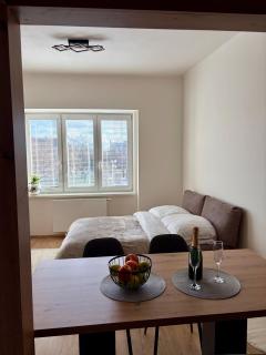 Apart & Studio metro Vysočanská - 9