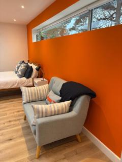 Spacious and Bright Garden Studio - 1