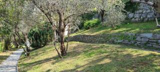 Villa gli Ulivi Chalten Apartment - 8