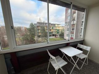 Palangos Linelis - 6