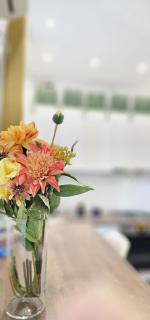 Sweet Dreams Suites Green Home Piata Romana - 2