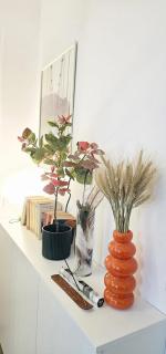 Sweet Dreams Suites Green Home Piata Romana - 1