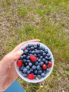 Imatra SPA VILLAS 2 - 1