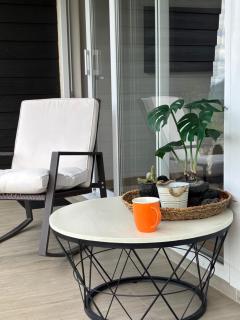 Depto Vista Valle Pucón - 2