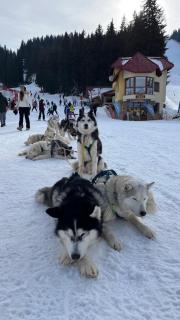 Cozy Apartment B35 in Grand Resort Pamporovo - 7