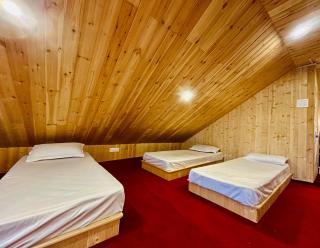 Himalayas Nature - 7