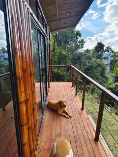 Chiraco cabins native jungle - 1